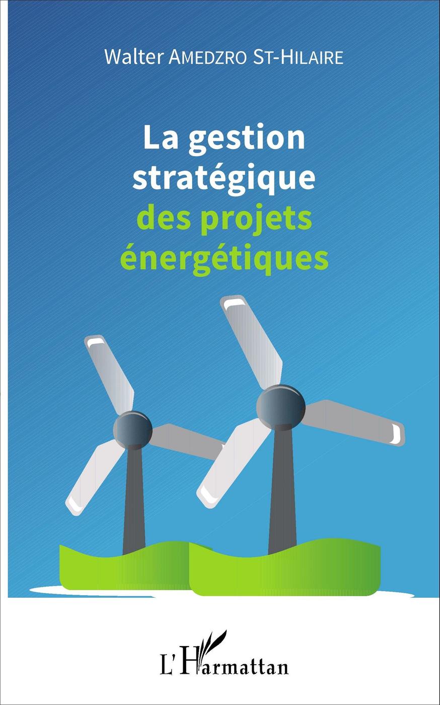 Couverture de La gestion stratégique des projets énergiques