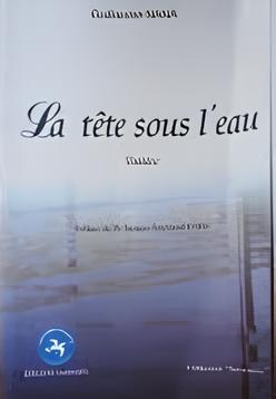 Couverture de Proverbes des Grassfields ou Reflet des Mœurs BINAM